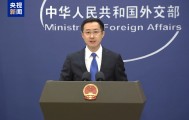 外交部：埃及对苏伊士运河的主权和管理运营权无可争议