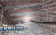 老人用红袜子包裹一万元现金藏在门框上，一天后不翼而飞，警方破案：偷钱的是老鼠