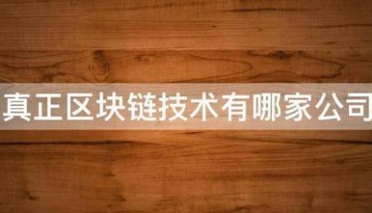 真正区块链技术有哪家公司
